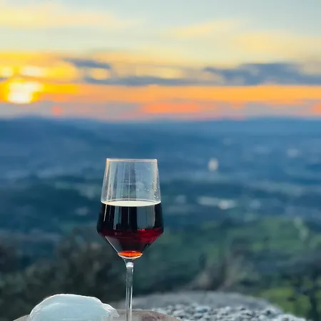 Streliciahouse * براغا