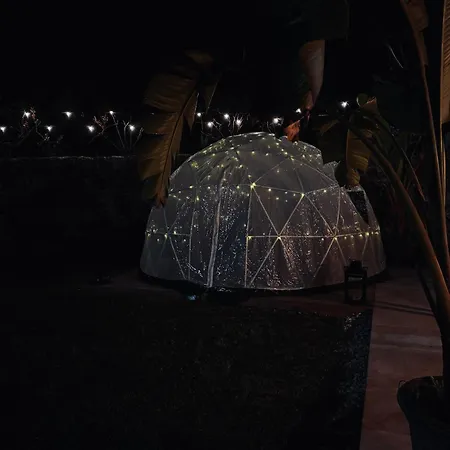 Streliciahouse * براغا