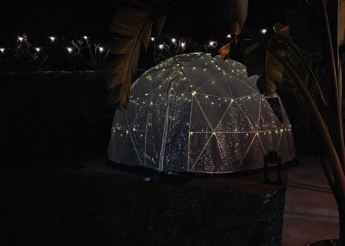 Streliciahouse * براغا